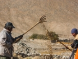 IMG 2388 : Ladakh