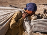 IMG 2409 : Ladakh