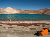 IMG 2515 : Ladakh