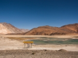 IMG 2531 : Ladakh