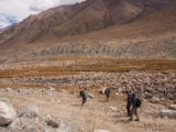 IMG 8728 : Ladakh, Ladakh Festival