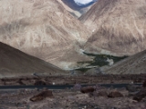 IMG 8774 : Ladakh, Ladakh Festival