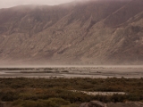 IMG 8832 : Ladakh