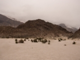 IMG 8839 : Ladakh