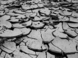 IMG 8843 : Ladakh