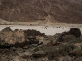 IMG 8904 : Ladakh