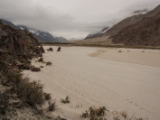 IMG 8912 : Ladakh