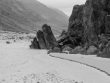IMG 8921 : Ladakh