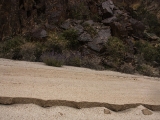 IMG 8930 : Ladakh