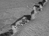 IMG 8936 : Ladakh