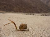 IMG 8943 : Ladakh