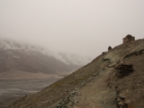 IMG 8967 : Ladakh