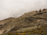 IMG 8969 : Ladakh