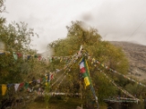 IMG 8980 : Ladakh