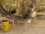 IMG 8982 : Ladakh