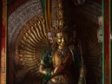 IMG 8993 : Ladakh