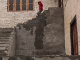 IMG 9026 : Ladakh