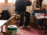 IMG 9050 : Ladakh