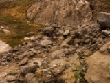 IMG 9069 : Ladakh