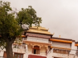 IMG 9093 : Ladakh