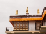 IMG 9096 : Ladakh
