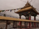 IMG 9128 : Ladakh