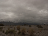 IMG 9134 : Ladakh