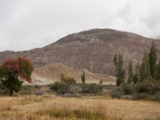 IMG 9168 : Indien, Ladakh, Nubra Valley