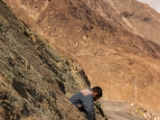 IMG 9215 : Indien, Ladakh, Nubra Valley