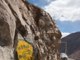 IMG 9267 : Indien, Ladakh, Nubra Valley