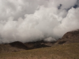 IMG 9298 : Indien, Ladakh, Nubra Valley