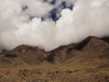 IMG 9300 : Indien, Ladakh, Nubra Valley