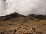 IMG 9304 : Indien, Ladakh, Nubra Valley