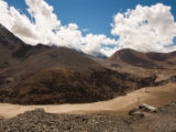 IMG 9307 : Indien, Ladakh, Nubra Valley