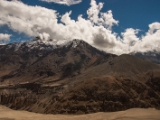 IMG 9313 : Indien, Ladakh, Nubra Valley