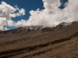 IMG 9326 : Indien, Ladakh, Nubra Valley