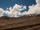 IMG 9327 : Indien, Ladakh, Nubra Valley