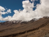 IMG 9330 : Indien, Ladakh, Nubra Valley