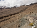 IMG 9337 : Indien, Ladakh, Nubra Valley