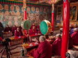 IMG 9369 : Indien, Ladakh, Nubra Valley