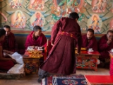 IMG 9375 : Indien, Ladakh, Nubra Valley