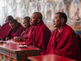 IMG 9379 : Indien, Ladakh, Nubra Valley