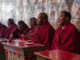 IMG 9381 : Indien, Ladakh, Nubra Valley