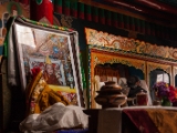 IMG 9382 : Indien, Ladakh, Nubra Valley