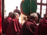 IMG 9385 : Indien, Ladakh, Nubra Valley