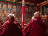 IMG 9399 : Indien, Ladakh, Nubra Valley