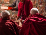 IMG 9412 : Indien, Ladakh, Nubra Valley