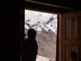 IMG 9421 : Indien, Ladakh, Nubra Valley