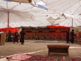 IMG 9422 : Indien, Ladakh, Nubra Valley