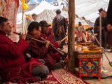 IMG 9425 : Indien, Ladakh, Nubra Valley